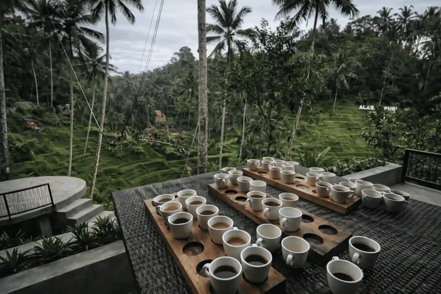 Ubud Full Day Cultural Tour in Bali – photo 4
