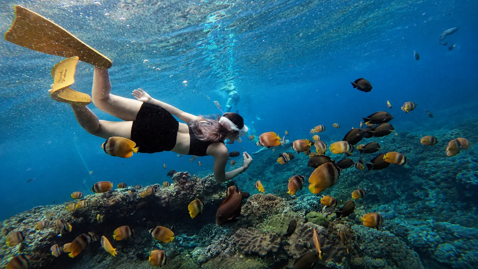 Snorkeling in Bali with clear water and coral reef