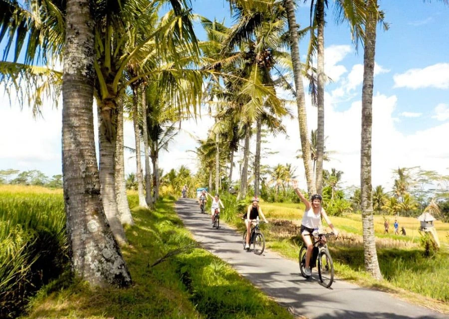 Ubud eBike Tour – Bali tour with local expert, hotel pickup and WhatsApp booking